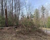 Lot 81 Gondola Court, Davis, West Virginia 26260, 0 , 0 ,0,Lots/land,For Sale,Gondola,0,10164071 Lot 81 Gondola Court, Davis, West Virginia 26260, 0 , 0 ,0,Lots/land,For Sale,Gondola,0,10164071