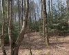 Lot 83 Gondola Court, Davis, West Virginia 26260, 0 , 0 ,0,Lots/land,For Sale,Gondola,0,10164072