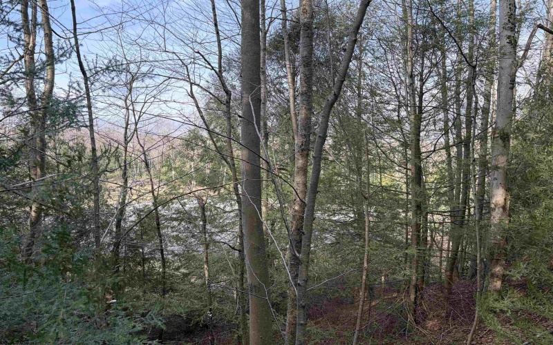 Lot 83 Gondola Court, Davis, West Virginia 26260, 0 , 0 ,0,Lots/land,For Sale,Gondola,0,10164072