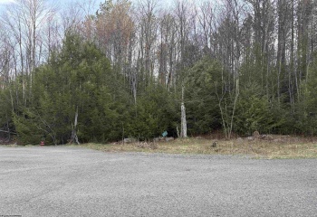 Lot 83 Gondola Court, Davis, West Virginia 26260, 0 , 0 ,0,Lots/land,For Sale,Gondola,0,10164072