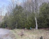 Lot 83 Gondola Court, Davis, West Virginia 26260, 0 , 0 ,0,Lots/land,For Sale,Gondola,0,10164072