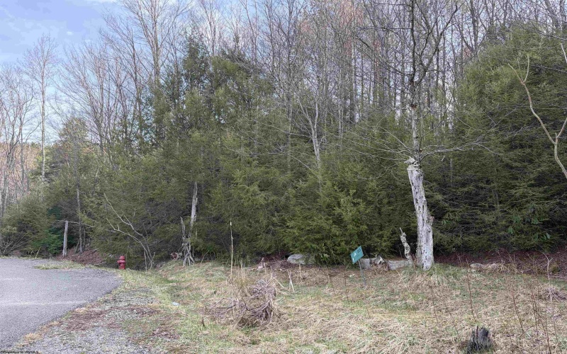 Lot 83 Gondola Court, Davis, West Virginia 26260, 0 , 0 ,0,Lots/land,For Sale,Gondola,0,10164072