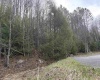 Lot 83 Gondola Court, Davis, West Virginia 26260, 0 , 0 ,0,Lots/land,For Sale,Gondola,0,10164072