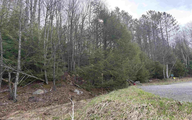 Lot 83 Gondola Court, Davis, West Virginia 26260, 0 , 0 ,0,Lots/land,For Sale,Gondola,0,10164072