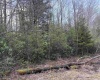 Lot 83 Gondola Court, Davis, West Virginia 26260, 0 , 0 ,0,Lots/land,For Sale,Gondola,0,10164072