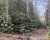 Lot 83 Gondola Court, Davis, West Virginia 26260, 0 , 0 ,0,Lots/land,For Sale,Gondola,0,10164072