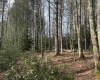 Lot 83 Gondola Court, Davis, West Virginia 26260, 0 , 0 ,0,Lots/land,For Sale,Gondola,0,10164072