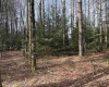 Lot 83 Gondola Court, Davis, West Virginia 26260, 0 , 0 ,0,Lots/land,For Sale,Gondola,0,10164072
