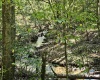 241 Briar Patch Road, Philippi, West Virginia 26416, 0 , 0 ,0,Lots/land,For Sale,Briar Patch,0,10167114