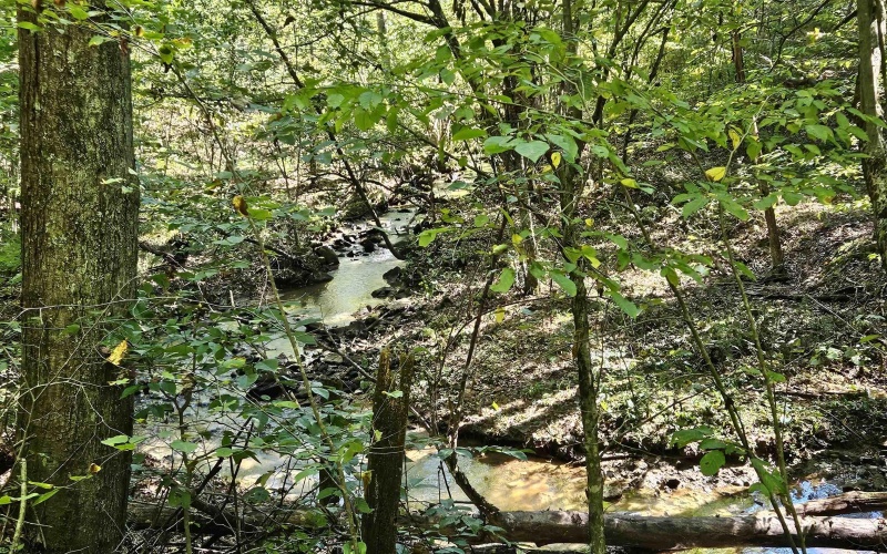 241 Briar Patch Road, Philippi, West Virginia 26416, 0 , 0 ,0,Lots/land,For Sale,Briar Patch,0,10167114