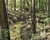 241 Briar Patch Road, Philippi, West Virginia 26416, 0 , 0 ,0,Lots/land,For Sale,Briar Patch,0,10167114