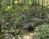 241 Briar Patch Road, Philippi, West Virginia 26416, 0 , 0 ,0,Lots/land,For Sale,Briar Patch,0,10167114