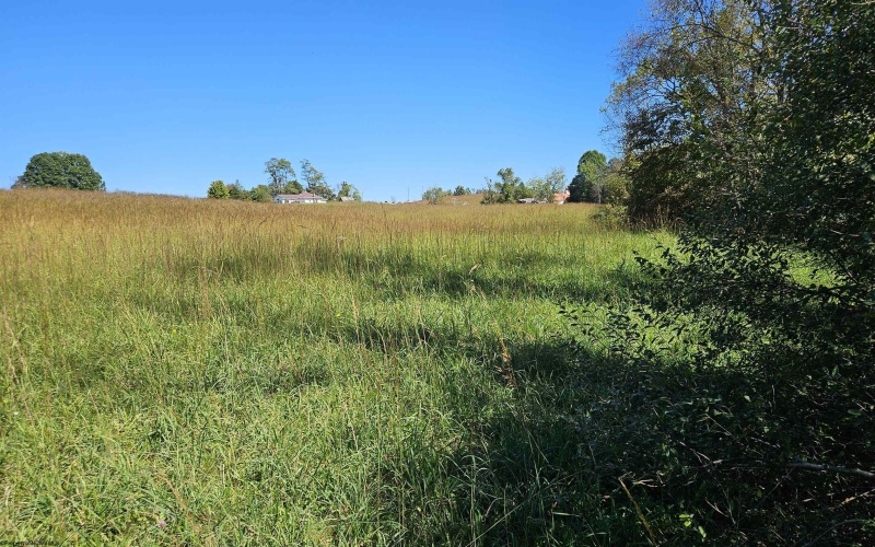 241 Briar Patch Road, Philippi, West Virginia 26416, 0 , 0 ,0,Lots/land,For Sale,Briar Patch,0,10167114