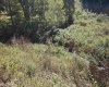 241 Briar Patch Road, Philippi, West Virginia 26416, 0 , 0 ,0,Lots/land,For Sale,Briar Patch,0,10167114