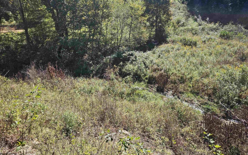 241 Briar Patch Road, Philippi, West Virginia 26416, 0 , 0 ,0,Lots/land,For Sale,Briar Patch,0,10167114