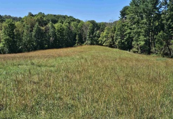 241 Briar Patch Road, Philippi, West Virginia 26416, 0 , 0 ,0,Lots/land,For Sale,Briar Patch,0,10167114