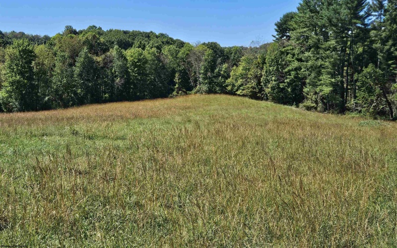 241 Briar Patch Road, Philippi, West Virginia 26416, 0 , 0 ,0,Lots/land,For Sale,Briar Patch,0,10167114