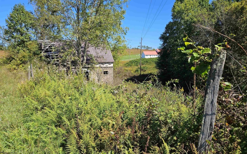 241 Briar Patch Road, Philippi, West Virginia 26416, 0 , 0 ,0,Lots/land,For Sale,Briar Patch,0,10167114
