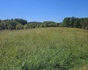 241 Briar Patch Road, Philippi, West Virginia 26416, 0 , 0 ,0,Lots/land,For Sale,Briar Patch,0,10167114