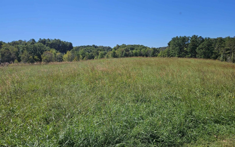 241 Briar Patch Road, Philippi, West Virginia 26416, 0 , 0 ,0,Lots/land,For Sale,Briar Patch,0,10167114