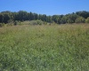 241 Briar Patch Road, Philippi, West Virginia 26416, 0 , 0 ,0,Lots/land,For Sale,Briar Patch,0,10167114