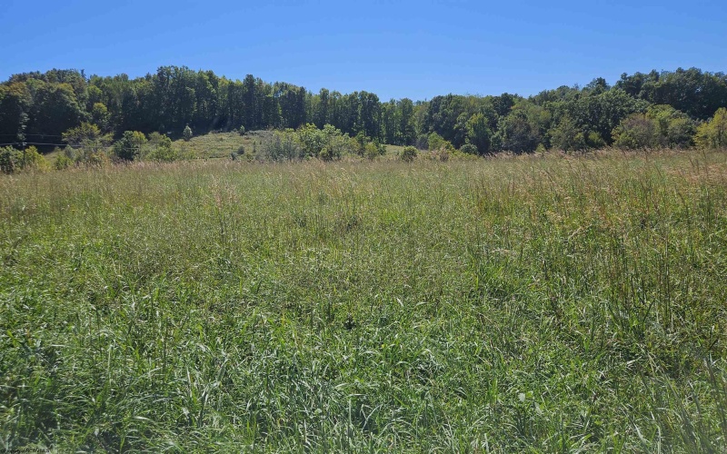 241 Briar Patch Road, Philippi, West Virginia 26416, 0 , 0 ,0,Lots/land,For Sale,Briar Patch,0,10167114