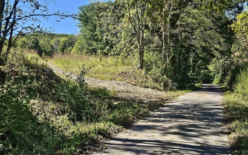 241 Briar Patch Road, Philippi, West Virginia 26416, 0 , 0 ,0,Lots/land,For Sale,Briar Patch,0,10167114