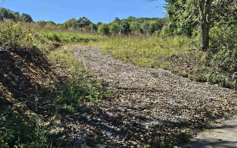 241 Briar Patch Road, Philippi, West Virginia 26416, 0 , 0 ,0,Lots/land,For Sale,Briar Patch,0,10167114