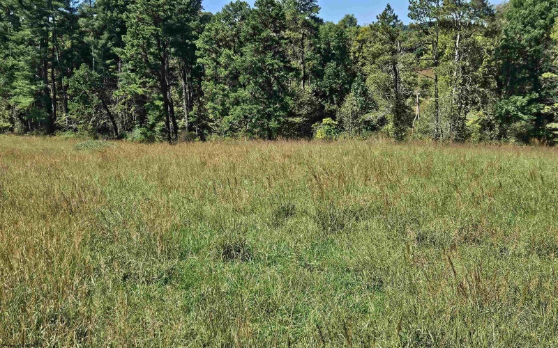 241 Briar Patch Road, Philippi, West Virginia 26416, 0 , 0 ,0,Lots/land,For Sale,Briar Patch,0,10167114
