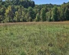 241 Briar Patch Road, Philippi, West Virginia 26416, 0 , 0 ,0,Lots/land,For Sale,Briar Patch,0,10167114