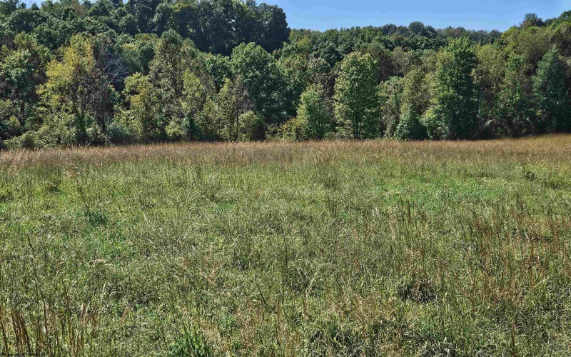 241 Briar Patch Road, Philippi, West Virginia 26416, 0 , 0 ,0,Lots/land,For Sale,Briar Patch,0,10167114