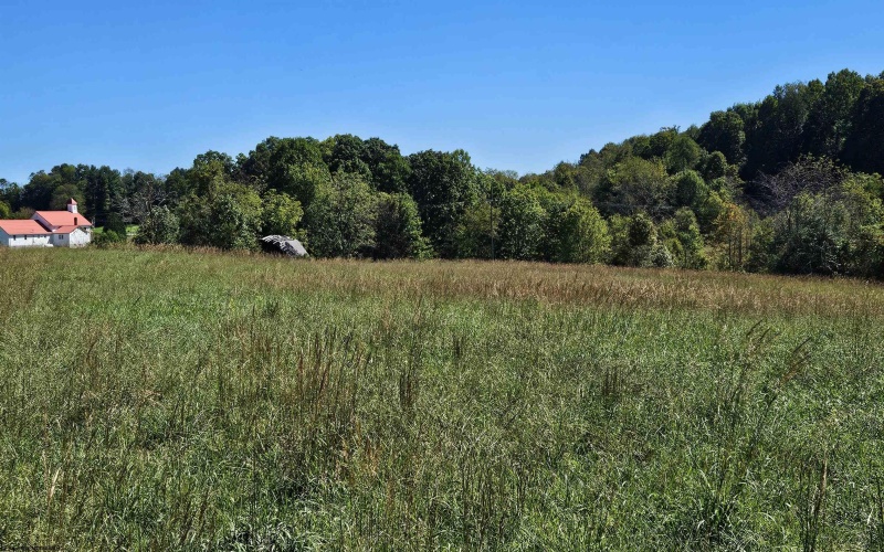 241 Briar Patch Road, Philippi, West Virginia 26416, 0 , 0 ,0,Lots/land,For Sale,Briar Patch,0,10167114