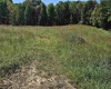 241 Briar Patch Road, Philippi, West Virginia 26416, 0 , 0 ,0,Lots/land,For Sale,Briar Patch,0,10167114