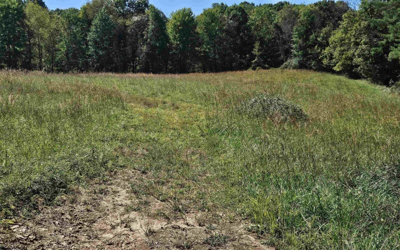 241 Briar Patch Road, Philippi, West Virginia 26416, 0 , 0 ,0,Lots/land,For Sale,Briar Patch,0,10167114