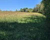 241 Briar Patch Road, Philippi, West Virginia 26416, 0 , 0 ,0,Lots/land,For Sale,Briar Patch,0,10167114