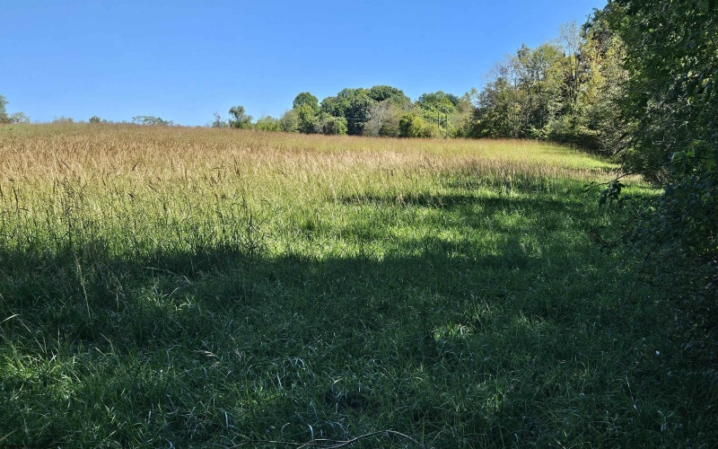 241 Briar Patch Road, Philippi, West Virginia 26416, 0 , 0 ,0,Lots/land,For Sale,Briar Patch,0,10167114