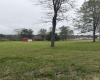 350 Stone Lane, Reedsville, West Virginia 26547, 0 , 0 ,0,Lots/land,For Sale,Stone,0,10167124