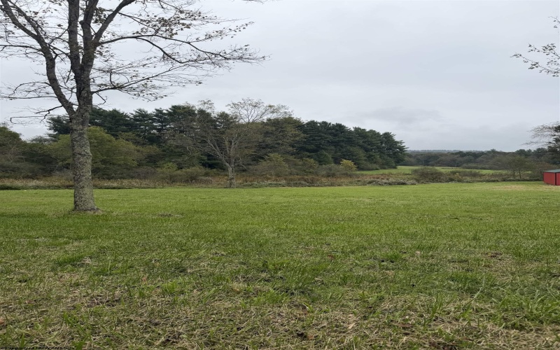 350 Stone Lane, Reedsville, West Virginia 26547, 0 , 0 ,0,Lots/land,For Sale,Stone,0,10167124
