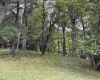 717 Maple Avenue, Philippi, West Virginia 26416, 3 Bedroom Bedrooms, 5 Room Rooms,1 BathroomBathrooms,Single Family Detached,For Sale,Maple,0,10167121