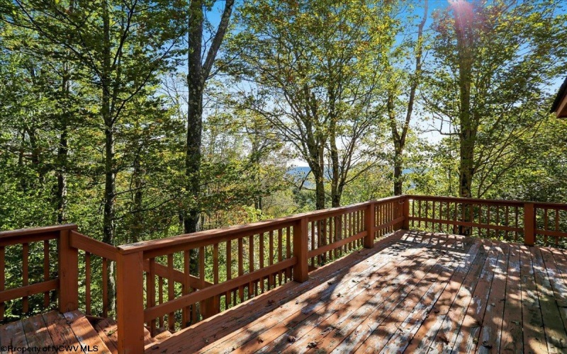 128 Forest Ridge Road, Davis, West Virginia 26260, 4 Bedroom Bedrooms, 7 Room Rooms,3 BathroomBathrooms,Single Family Detached,For Sale,Forest Ridge,0,10167117