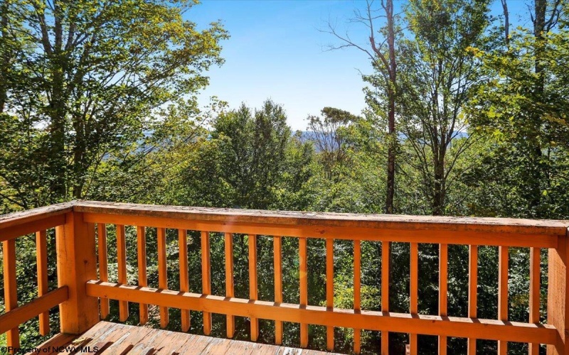 128 Forest Ridge Road, Davis, West Virginia 26260, 4 Bedroom Bedrooms, 7 Room Rooms,3 BathroomBathrooms,Single Family Detached,For Sale,Forest Ridge,0,10167117