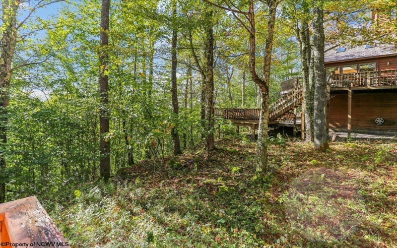 128 Forest Ridge Road, Davis, West Virginia 26260, 4 Bedroom Bedrooms, 7 Room Rooms,3 BathroomBathrooms,Single Family Detached,For Sale,Forest Ridge,0,10167117