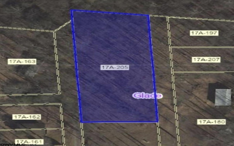 TBD Beech Street, Belington, West Virginia 26283, 0 , 0 ,0,Lots/land,For Sale,Beech,0,10167130