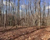 TBD Beech Street, Belington, West Virginia 26283, 0 , 0 ,0,Lots/land,For Sale,Beech,0,10167130