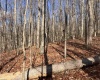 TBD Beech Street, Belington, West Virginia 26283, 0 , 0 ,0,Lots/land,For Sale,Beech,0,10167130
