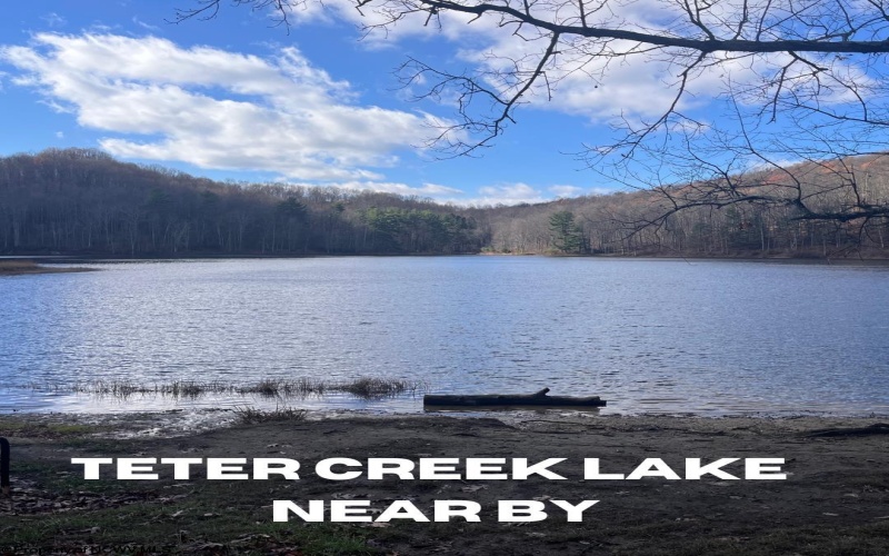 TBD Beech Street, Belington, West Virginia 26283, 0 , 0 ,0,Lots/land,For Sale,Beech,0,10167130