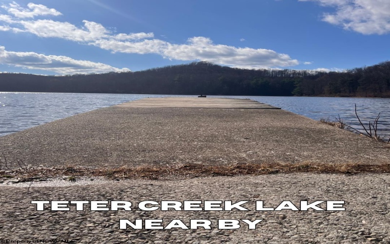 TBD Beech Street, Belington, West Virginia 26283, 0 , 0 ,0,Lots/land,For Sale,Beech,0,10167130
