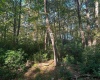 Lot 172 & 173 Dogwood Drive, Terra Alta, West Virginia 26764, 0 , 0 ,0,Lots/land,For Sale,Dogwood,0,10167144