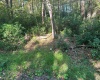 Lot 172 & 173 Dogwood Drive, Terra Alta, West Virginia 26764, 0 , 0 ,0,Lots/land,For Sale,Dogwood,0,10167144