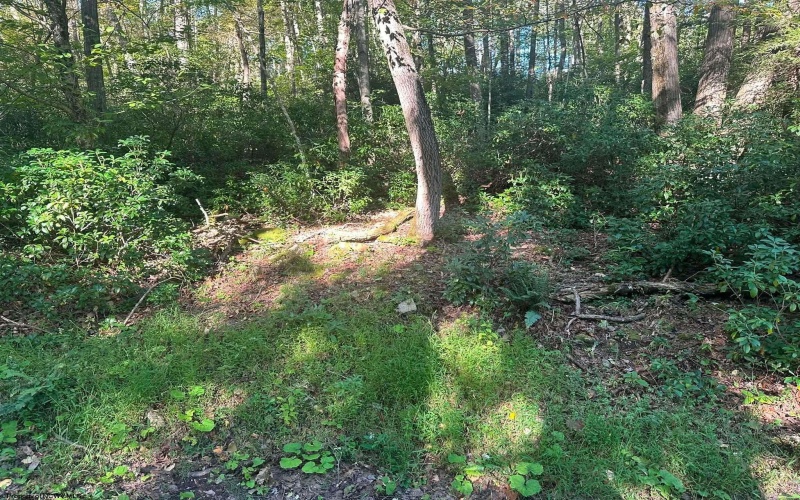 Lot 172 & 173 Dogwood Drive, Terra Alta, West Virginia 26764, 0 , 0 ,0,Lots/land,For Sale,Dogwood,0,10167144